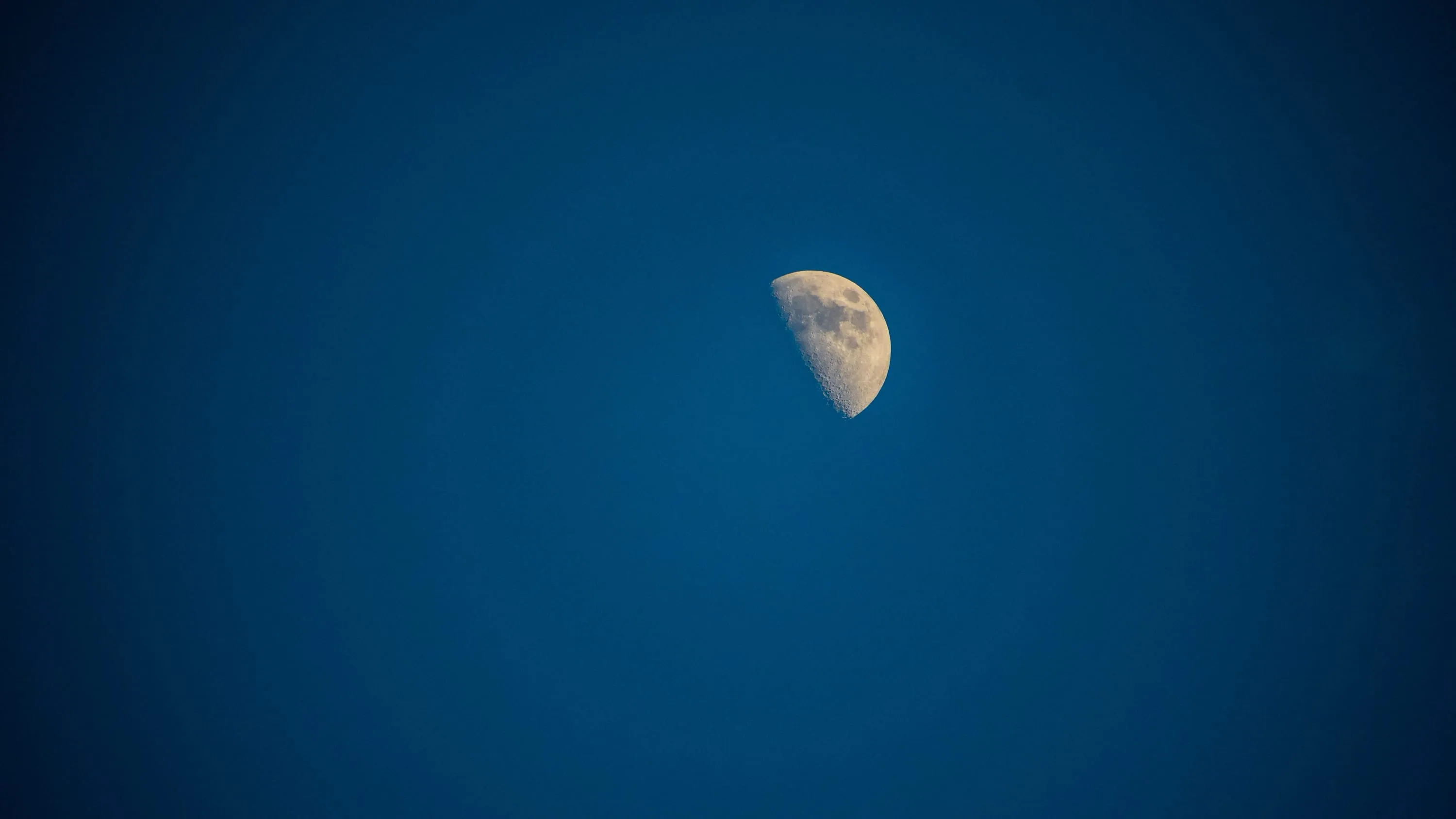 A half moon, sharp and pale, against clear deep blue daytime sky.