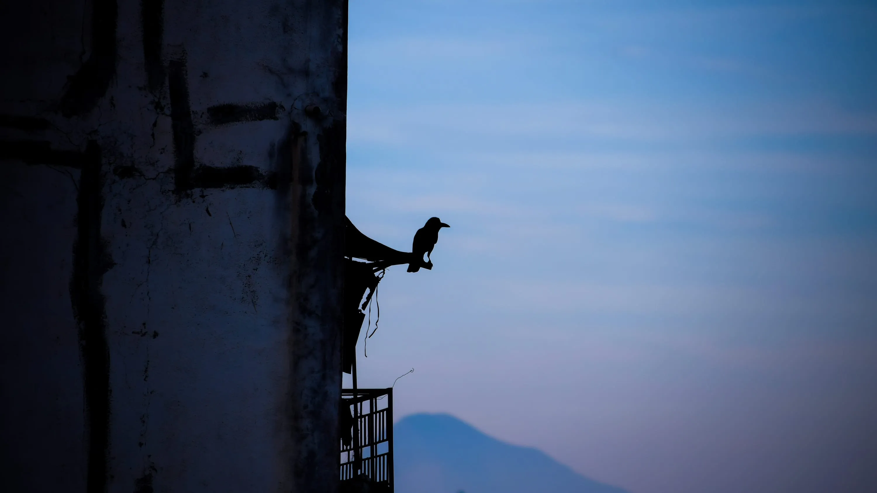 A bird perched on the edge of a weathered concrete structure against clear evening blue.