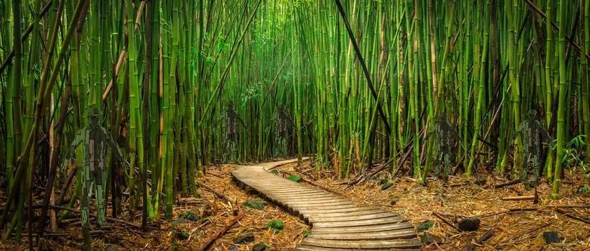 A bamboo grove with a wooden boardwalk running through it. Five human figures stand among the stems, surfaced in a green and brown pattern generated from the scene.